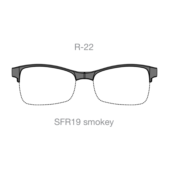 R-22 SFR19