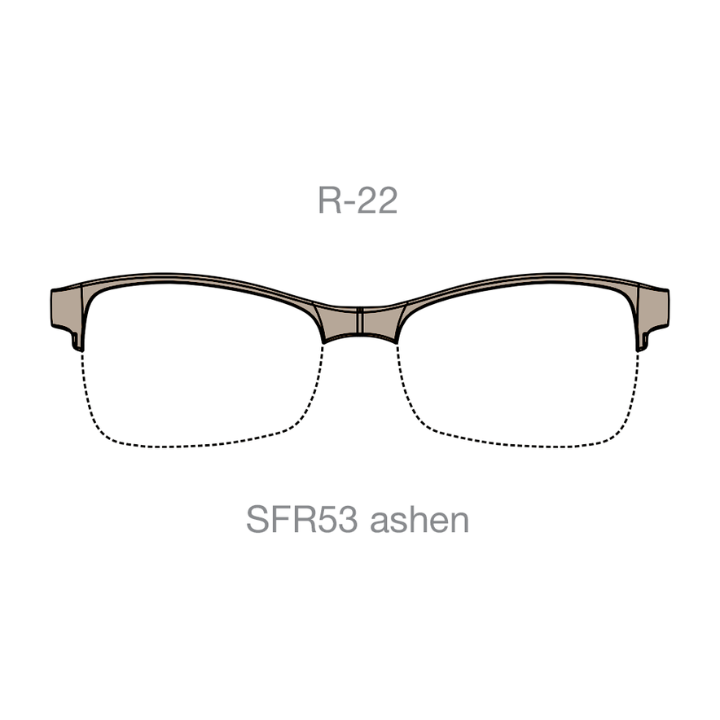 R-22 SFR53
