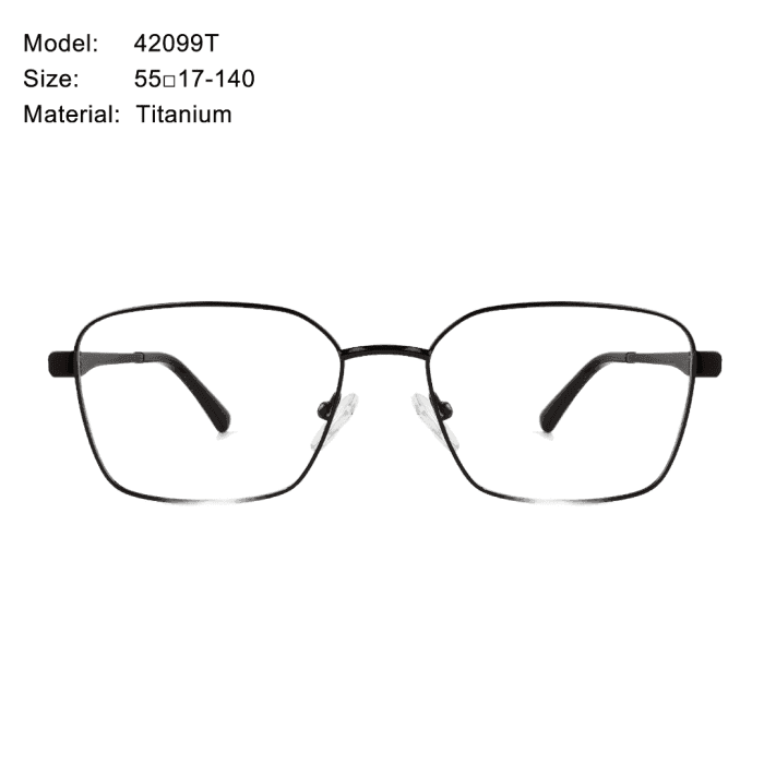 Armação para Óculos BRUCE Titanium Wear mod 42099T