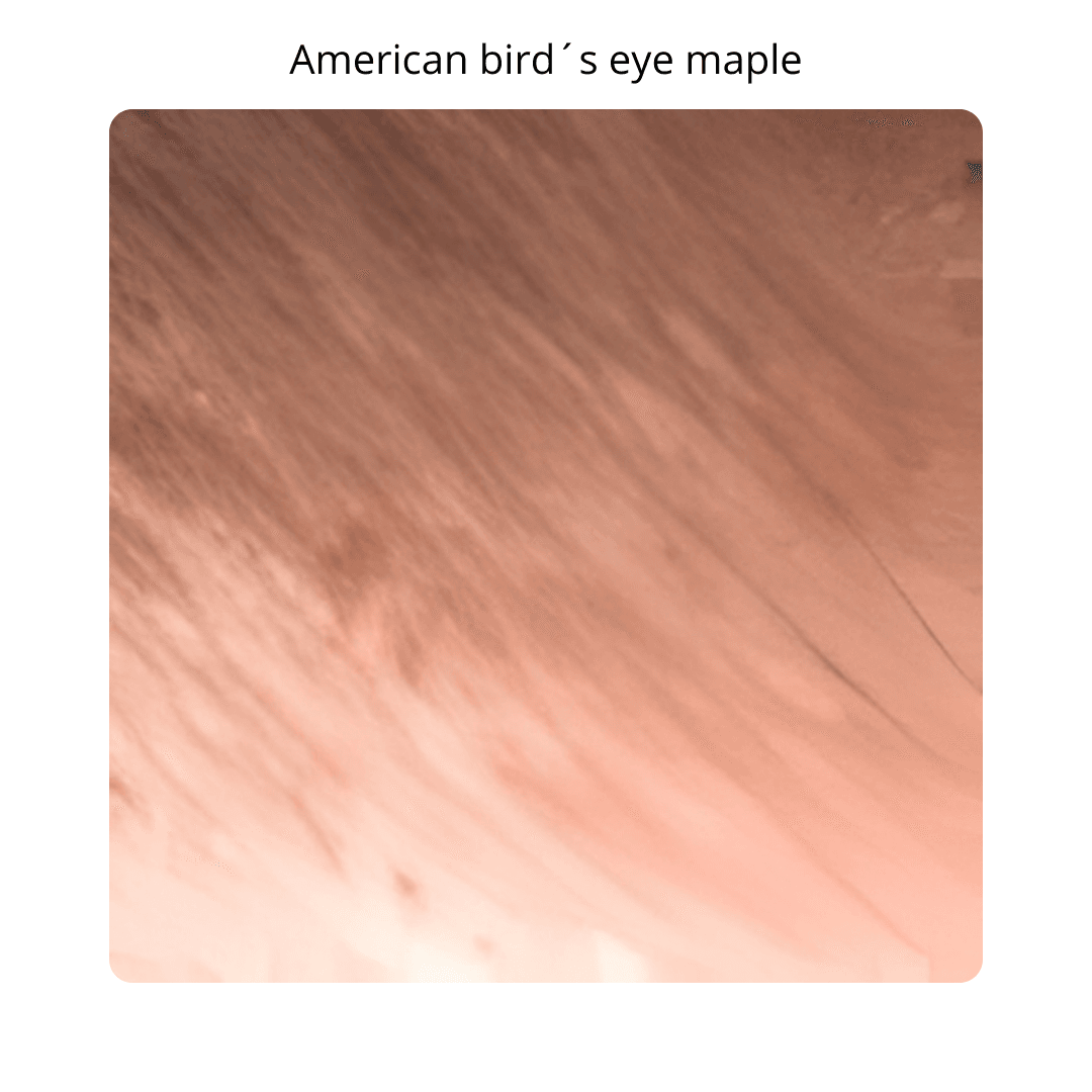 GW-3-American bird´s eye maple (1080 X 1080 px)